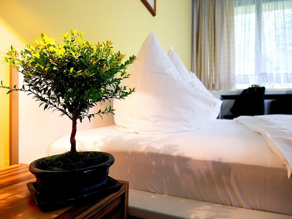 Hotel Albrechtshof Gohrisch Eksteriør bilde